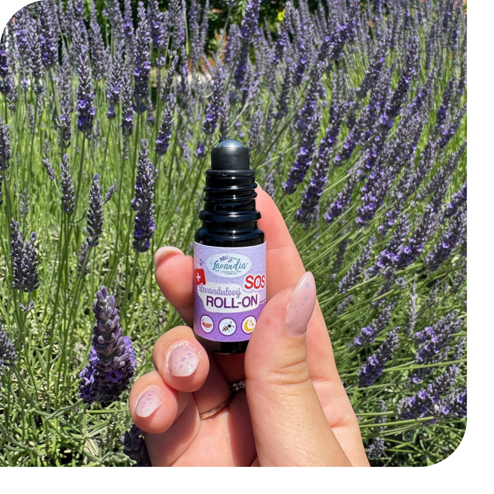 Produktové karty - fotky u textu_10